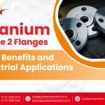 Titanium Grade 2 Flanges: Uses, Benefits and Industrial Applications